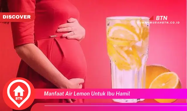 manfaat air lemon untuk ibu hamil