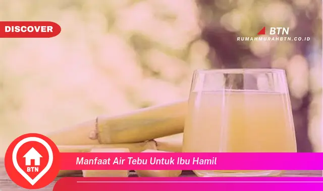 manfaat air tebu untuk ibu hamil