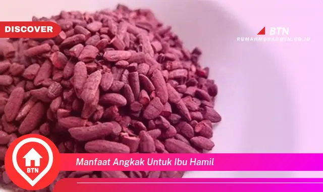 manfaat angkak untuk ibu hamil