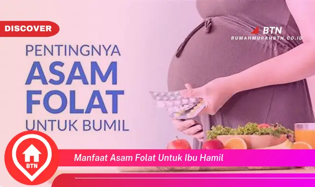 manfaat asam folat untuk ibu hamil