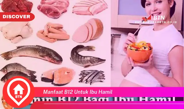 manfaat b12 untuk ibu hamil