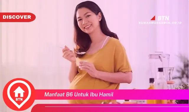 manfaat b6 untuk ibu hamil