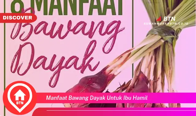 manfaat bawang dayak untuk ibu hamil