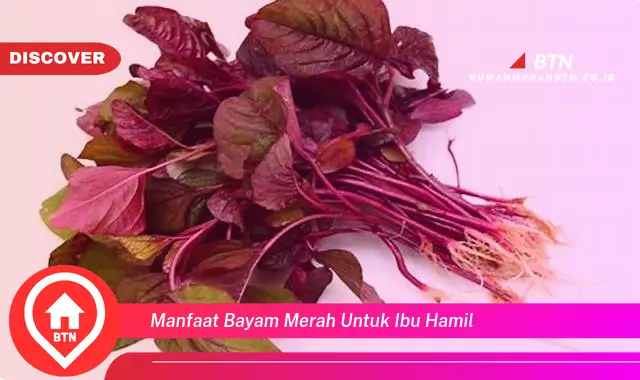 manfaat bayam merah untuk ibu hamil