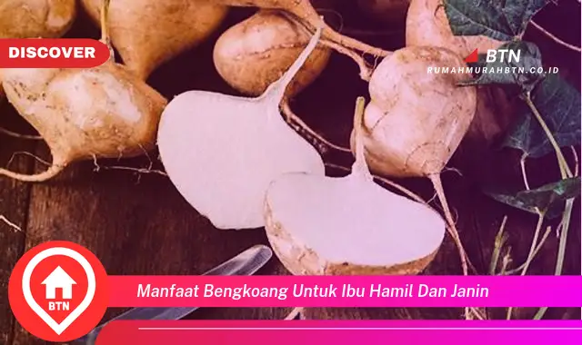 manfaat bengkoang untuk ibu hamil dan janin