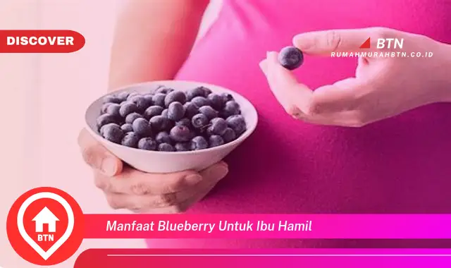 manfaat blueberry untuk ibu hamil