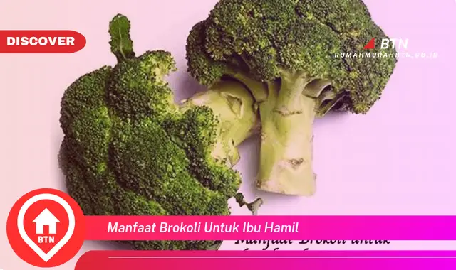 manfaat brokoli untuk ibu hamil