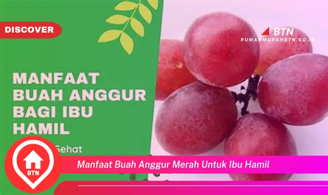 manfaat buah anggur merah untuk ibu hamil