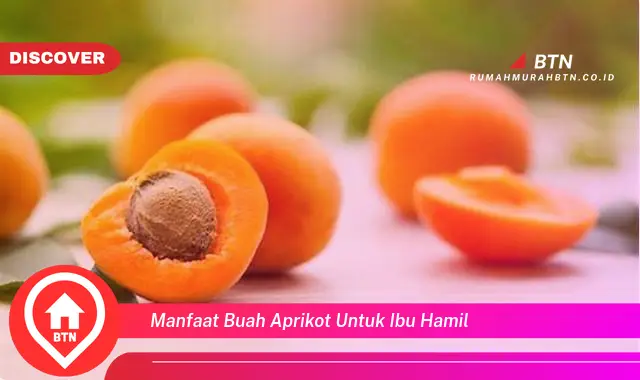 manfaat buah aprikot untuk ibu hamil