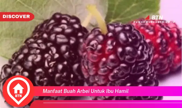 manfaat buah arbei untuk ibu hamil