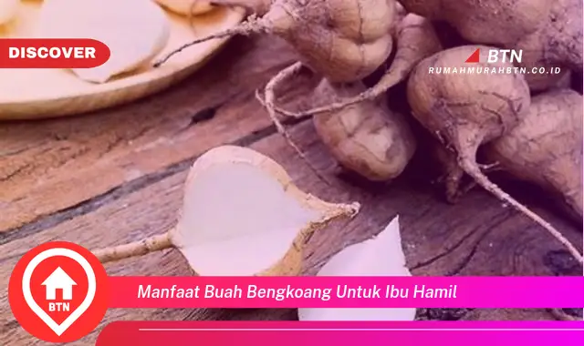 manfaat buah bengkoang untuk ibu hamil