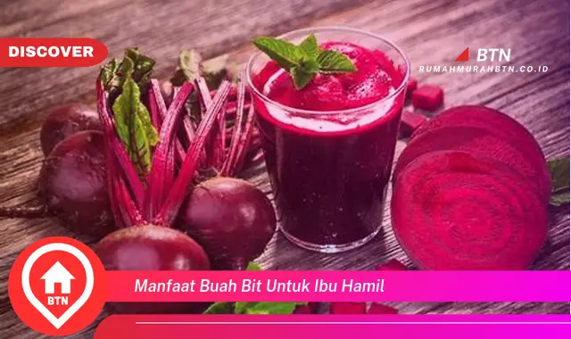 manfaat buah bit untuk ibu hamil