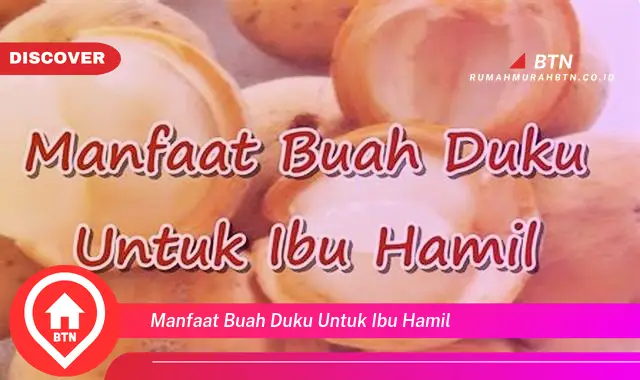 manfaat buah duku untuk ibu hamil