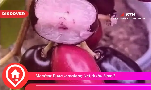 manfaat buah jamblang untuk ibu hamil