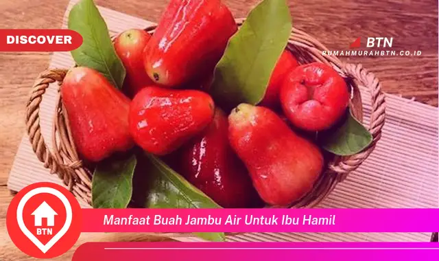 manfaat buah jambu air untuk ibu hamil