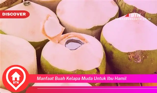 manfaat buah kelapa muda untuk ibu hamil