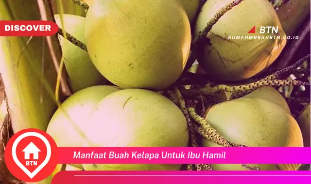 manfaat buah kelapa untuk ibu hamil