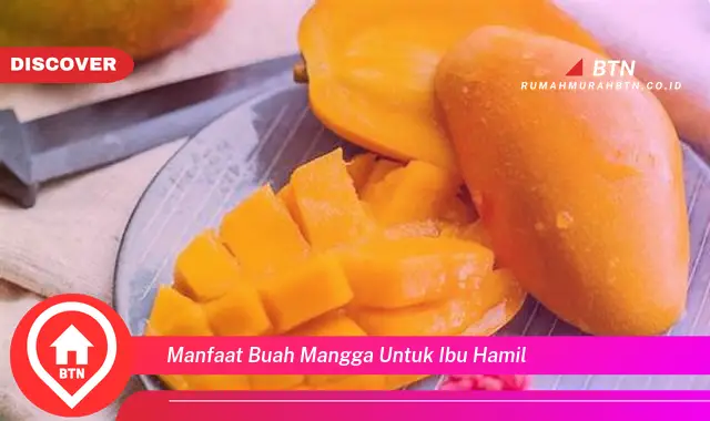 manfaat buah mangga untuk ibu hamil