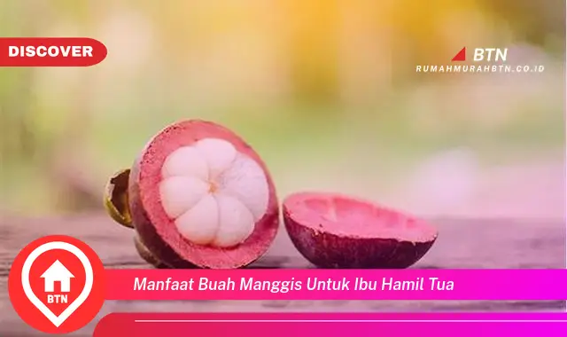 manfaat buah manggis untuk ibu hamil tua