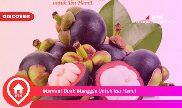 manfaat buah manggis untuk ibu hamil