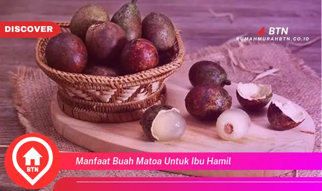 manfaat buah matoa untuk ibu hamil