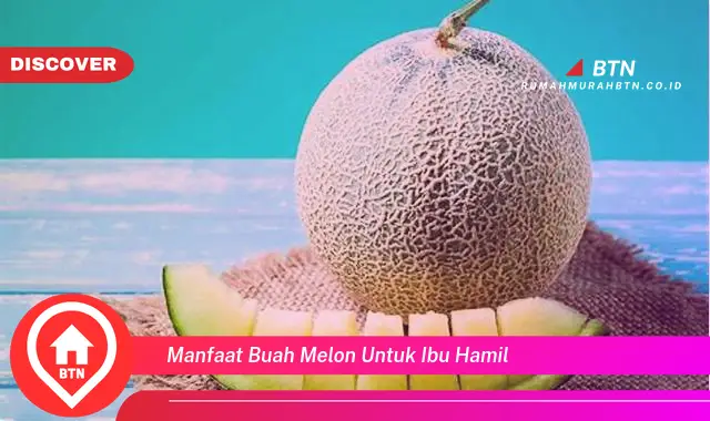 manfaat buah melon untuk ibu hamil