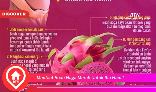 manfaat buah naga merah untuk ibu hamil