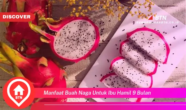 manfaat buah naga untuk ibu hamil 9 bulan