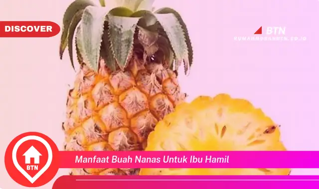 manfaat buah nanas untuk ibu hamil