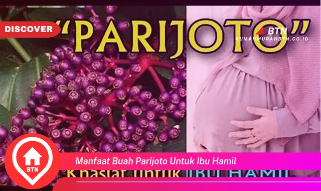 manfaat buah parijoto untuk ibu hamil