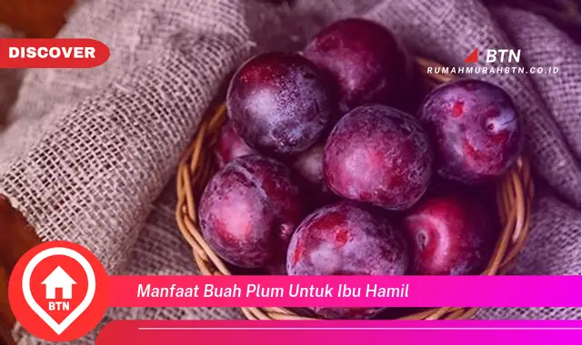 manfaat buah plum untuk ibu hamil