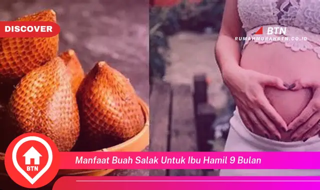 manfaat buah salak untuk ibu hamil 9 bulan