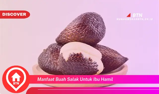 manfaat buah salak untuk ibu hamil