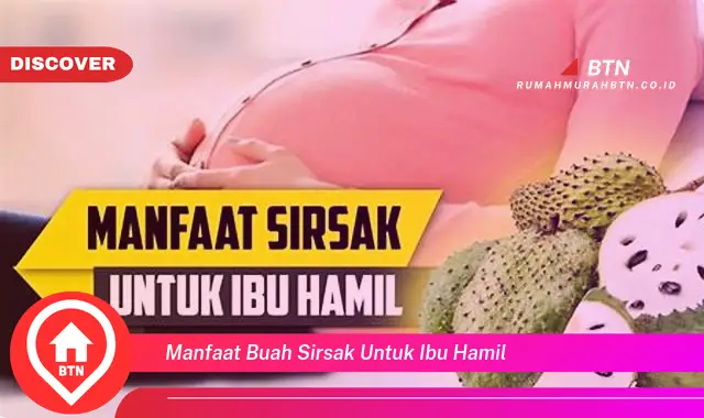 manfaat buah sirsak untuk ibu hamil