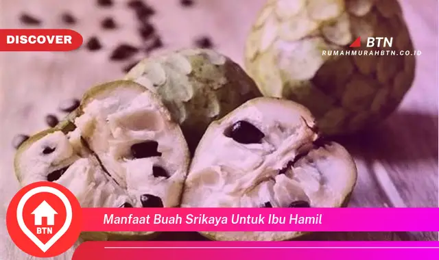 manfaat buah srikaya untuk ibu hamil