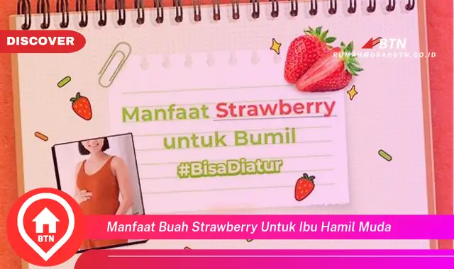 manfaat buah strawberry untuk ibu hamil muda