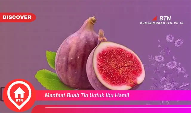 manfaat buah tin untuk ibu hamil