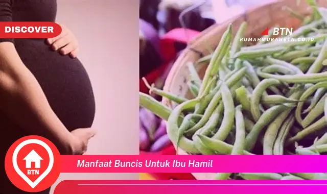 manfaat buncis untuk ibu hamil