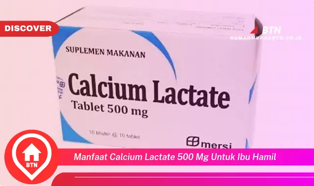 manfaat calcium lactate 500 mg untuk ibu hamil