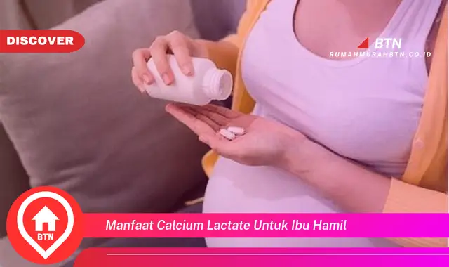 manfaat calcium lactate untuk ibu hamil