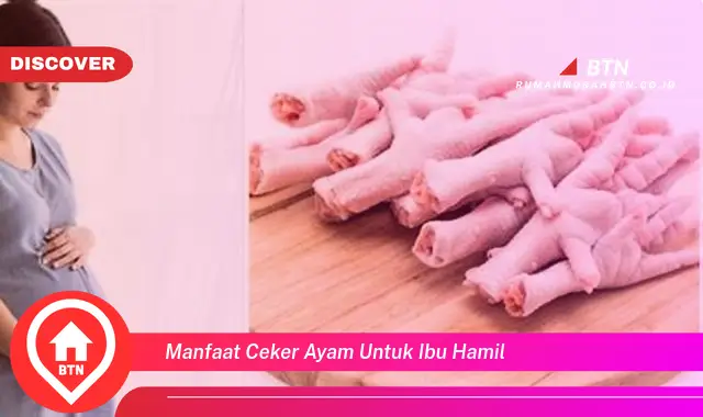 manfaat ceker ayam untuk ibu hamil