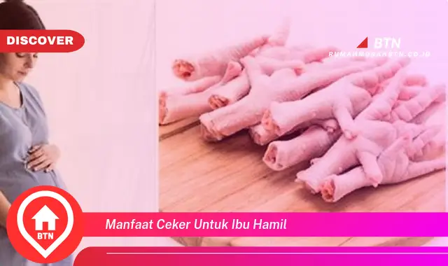 manfaat ceker untuk ibu hamil