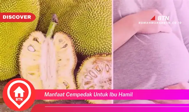 manfaat cempedak untuk ibu hamil