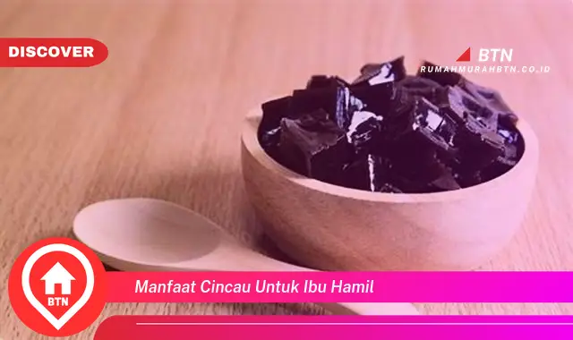 manfaat cincau untuk ibu hamil