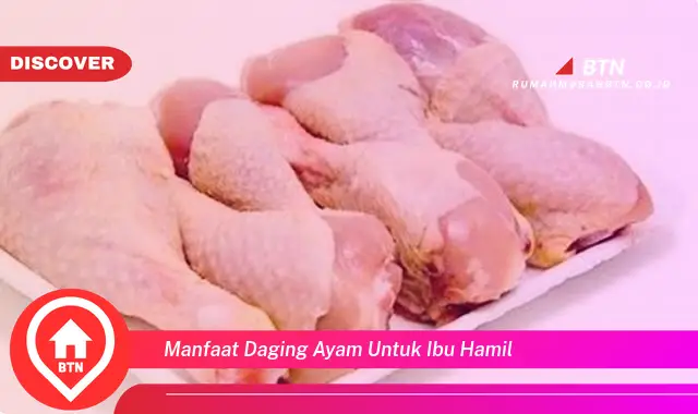 manfaat daging ayam untuk ibu hamil