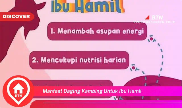 manfaat daging kambing untuk ibu hamil