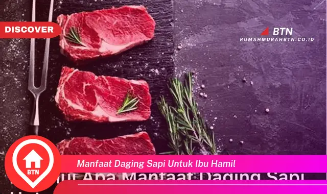 manfaat daging sapi untuk ibu hamil