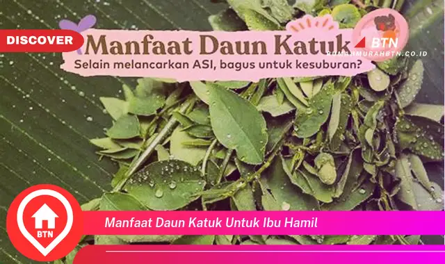 manfaat daun katuk untuk ibu hamil