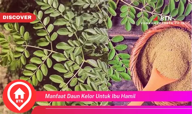 manfaat daun kelor untuk ibu hamil