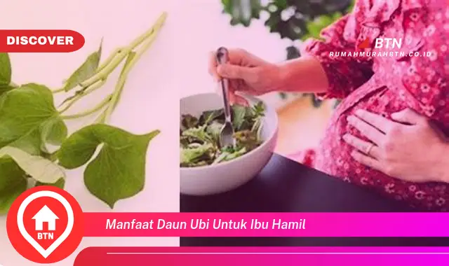 manfaat daun ubi untuk ibu hamil